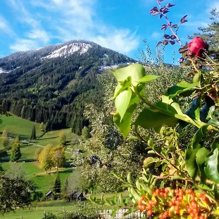 Couette-café Stammerhof 3*