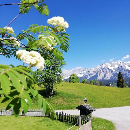 Stammerhof 3* 斯拉德明