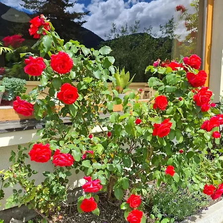 Bed & Breakfast Stammerhof *