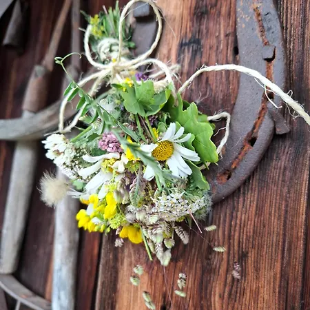 Stammerhof Bed & Breakfast Schladming