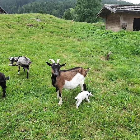 Couette-café Stammerhof Schladming