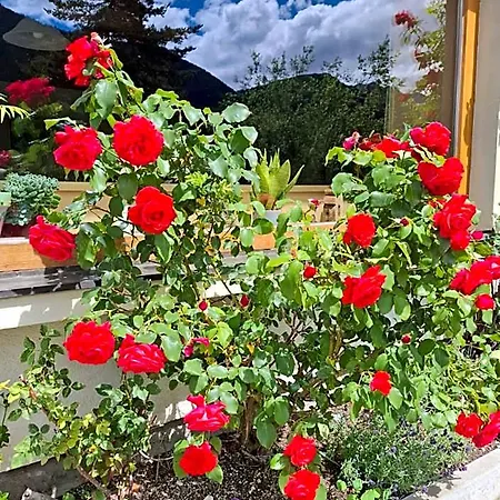 Couette-café Stammerhof Schladming