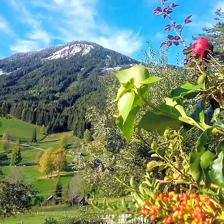 Couette-café Stammerhof Schladming