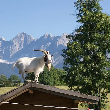 Stammerhof Schladming