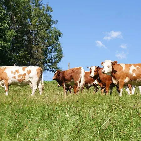 Couette-café Stammerhof