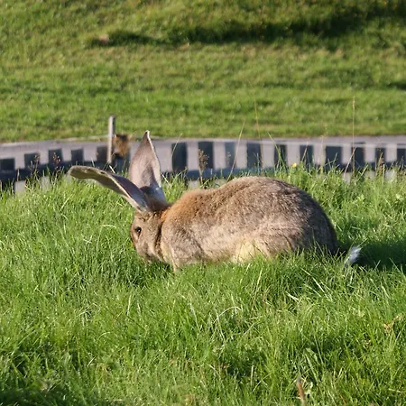 Stammerhof Couette-café