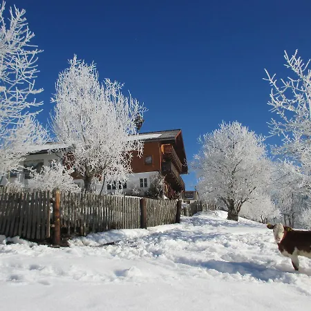 Stammerhof Bed & Breakfast *