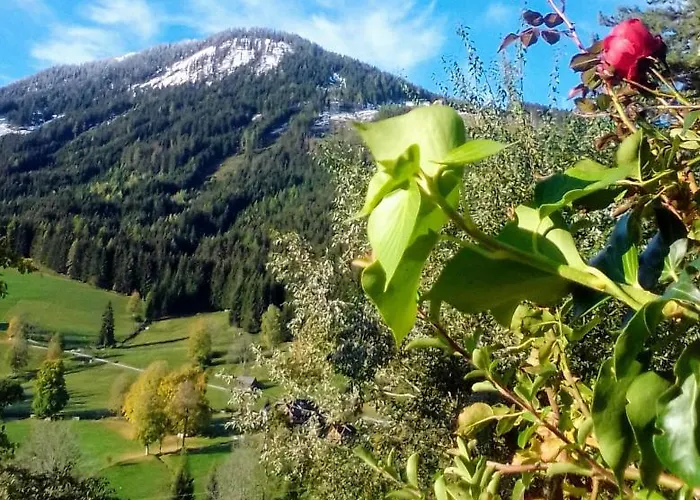 Bed & Breakfast Stammerhof 3*