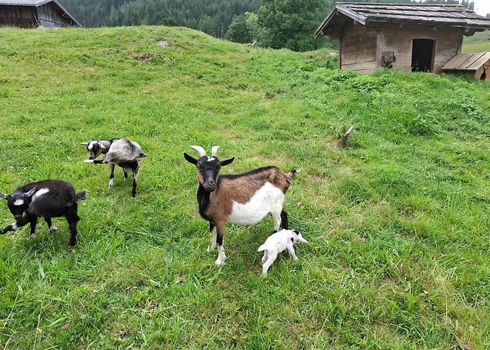 Alojamento de Acomodação e Pequeno-almoço Stammerhof Schladming