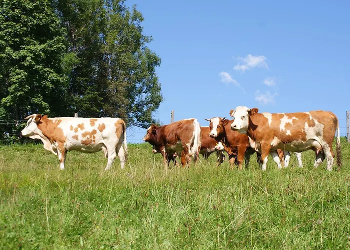 Nocleg ze śniadaniem Stammerhof