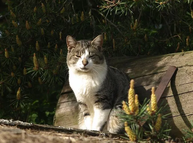 Stammerhof Nocleg ze śniadaniem