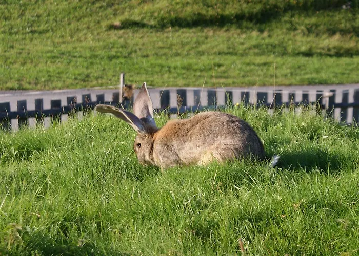 Stammerhof Alojamento de Acomodação e Pequeno-almoço