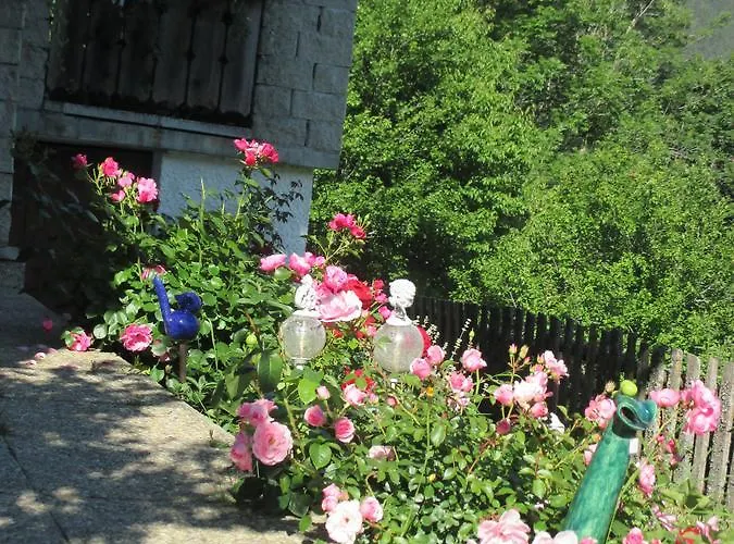 Stammerhof Bed & Breakfast 3*