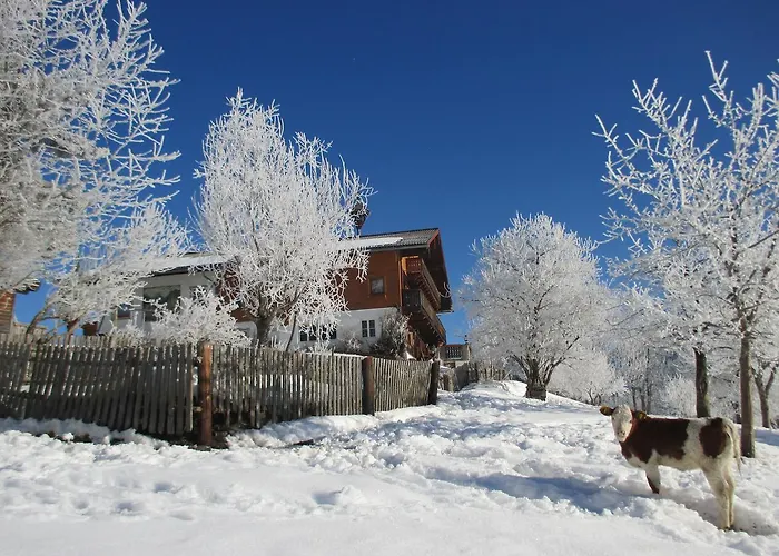 Stammerhof Bed & Breakfast 3*
